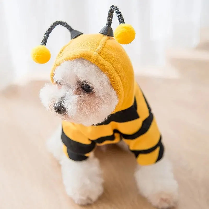 Cute Hoodie Bee Suit