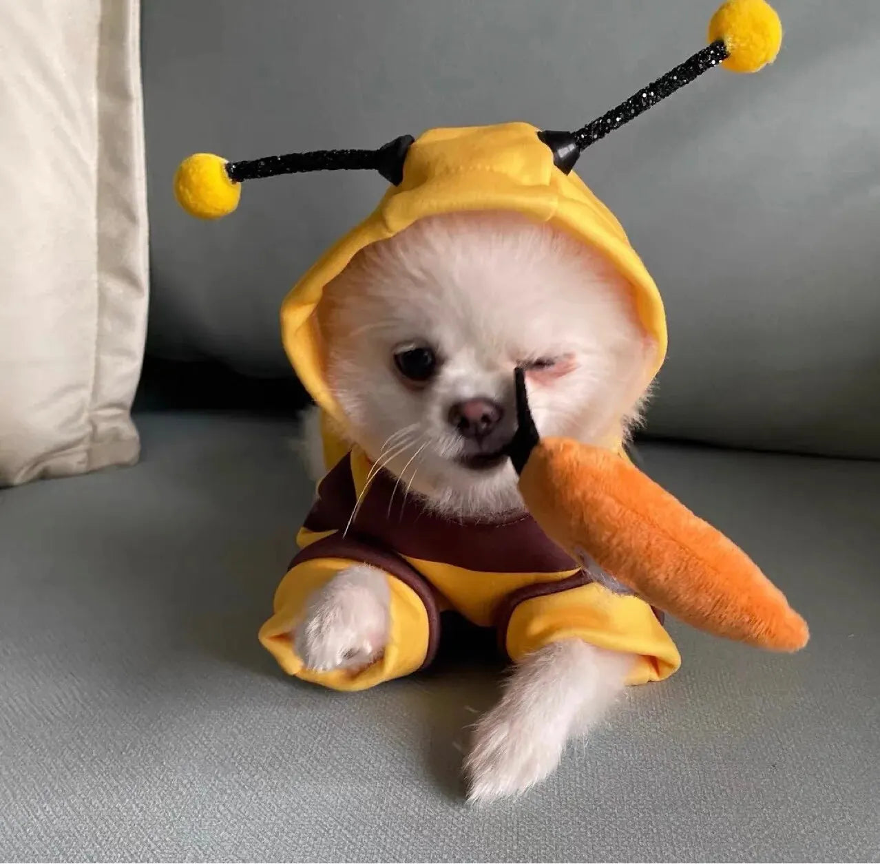 Cute Hoodie Bee Suit