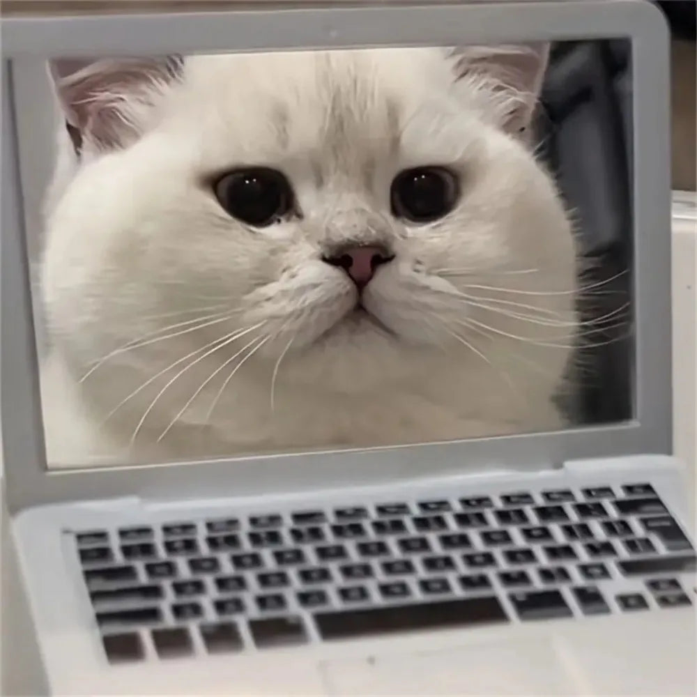 Tiny Cat Laptop