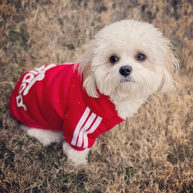 Adidog Pet Hoodie