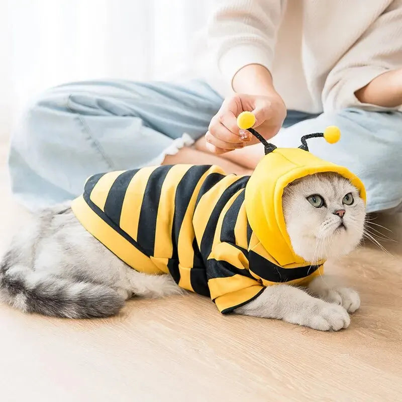 Cute Hoodie Bee Suit