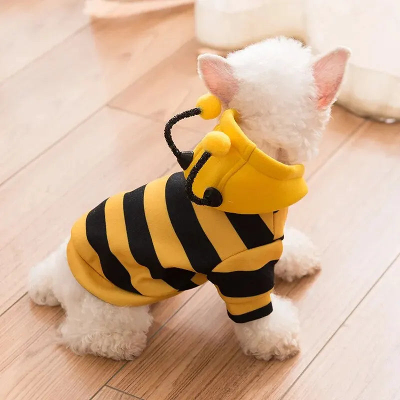 Cute Hoodie Bee Suit