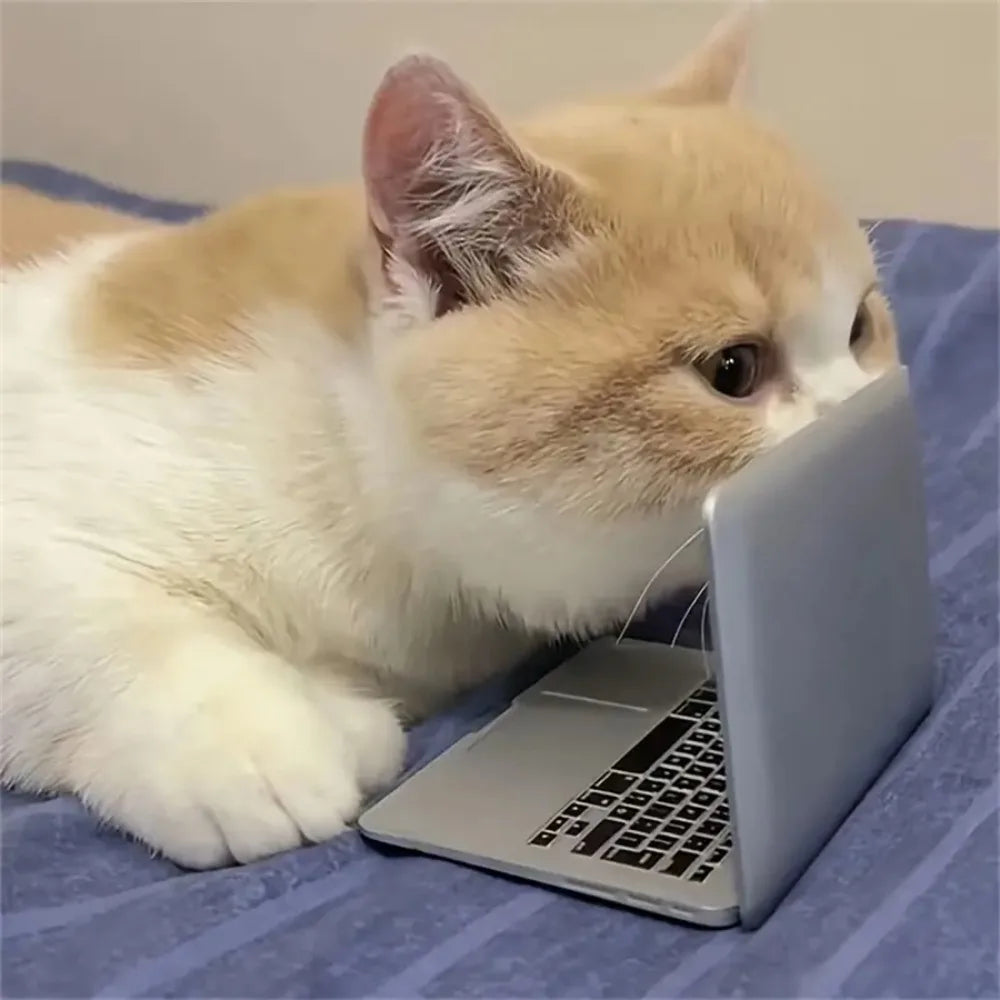 Tiny Cat Laptop