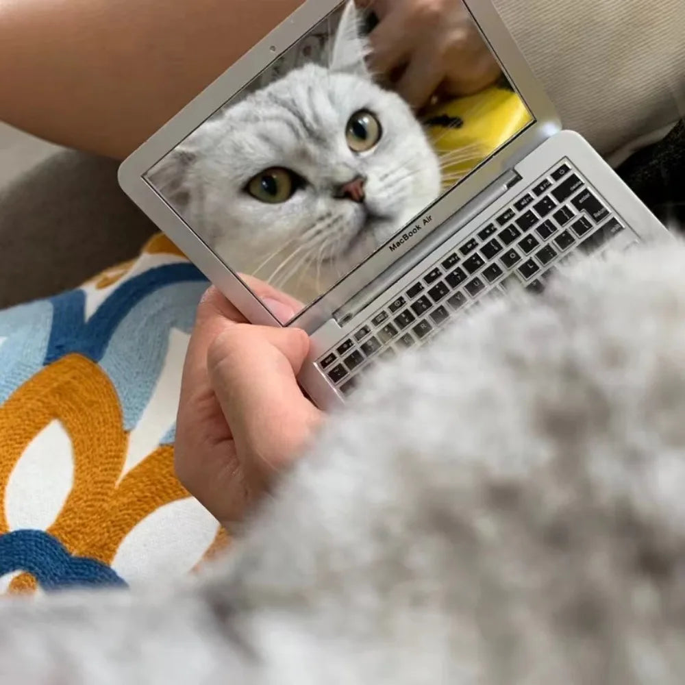 Tiny Cat Laptop