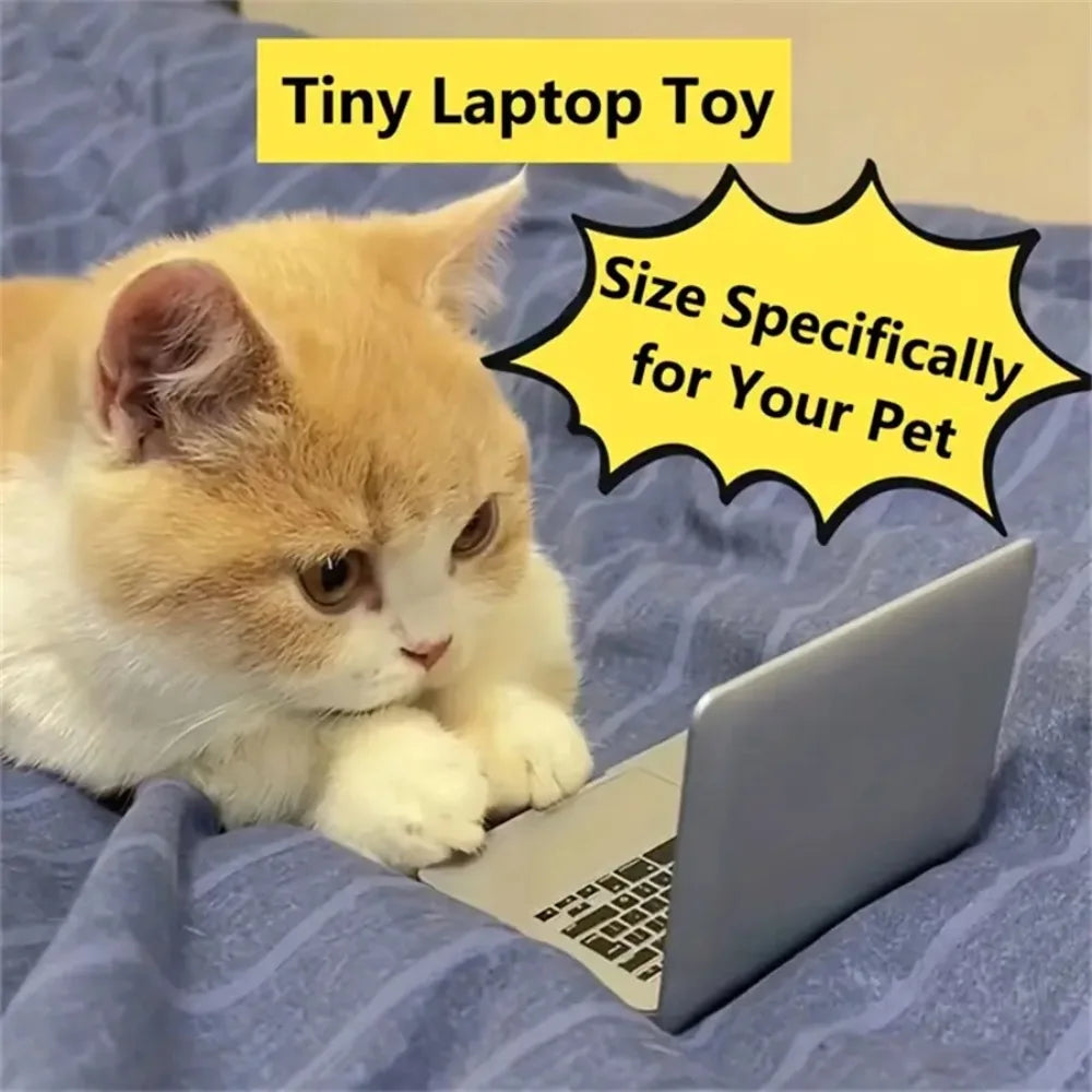 Tiny Cat Laptop